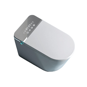 Tankless Bidet Toilet